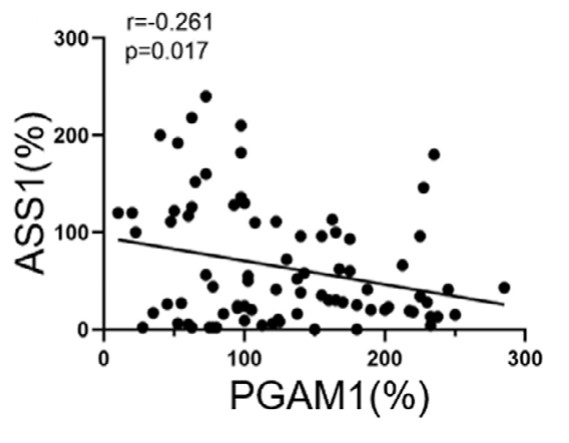 The expression levels of PGAM1 were negatively related to the expression levels of ASS1.jpg